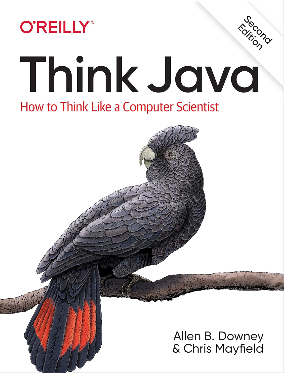 Think Java: How to Think Like a Computer Scientist 2nd Edition