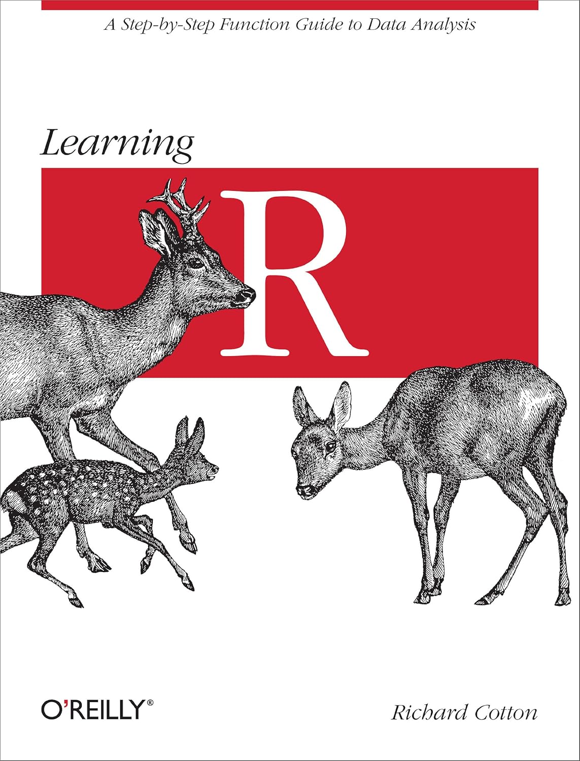 Learning R: A Step-by-Step Function Guide to Data Analysis