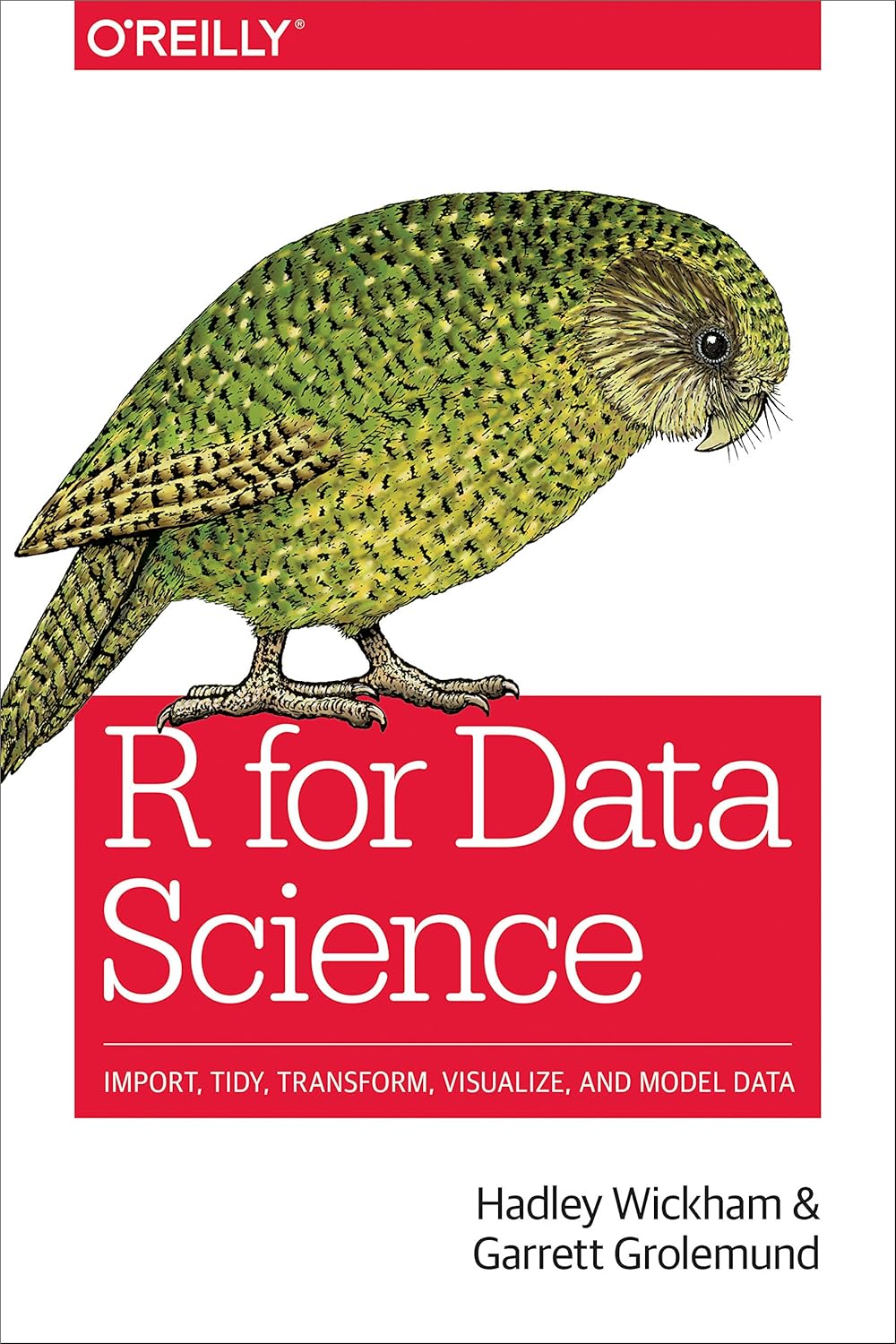 R for Data Science: Import, Tidy, Transform, Visualize and Model Data