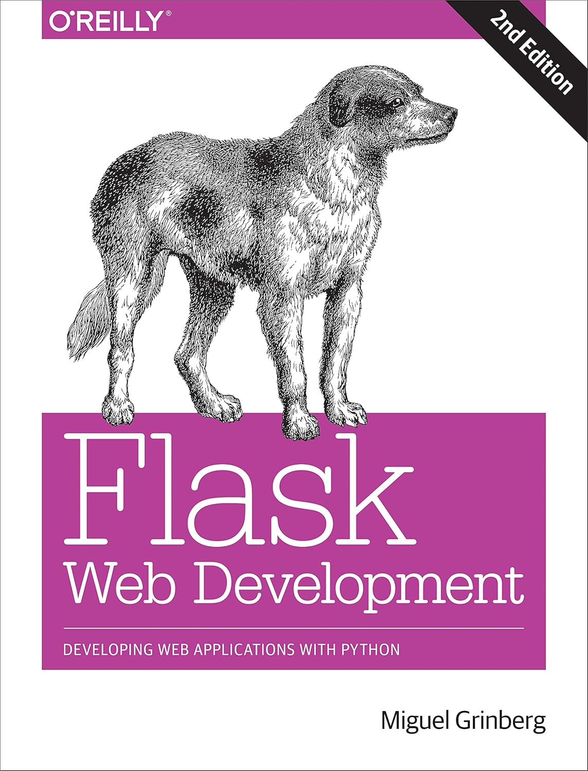 Flask Web Development 2nd Edition