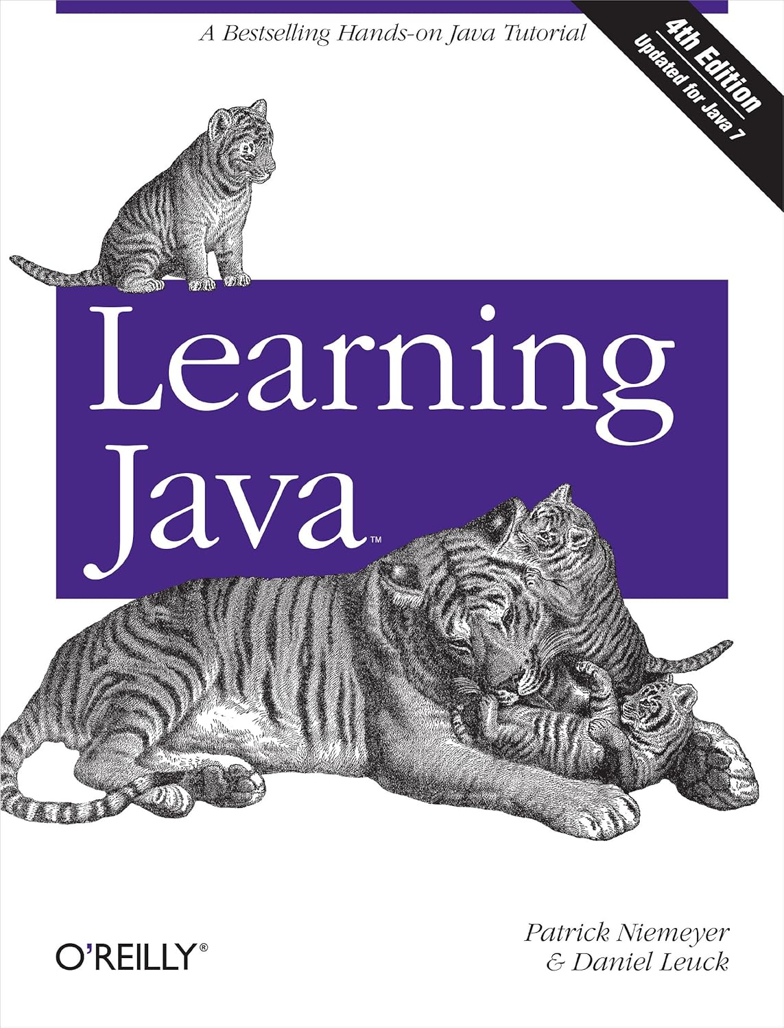 Learning Java 4th Edition