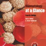 Haematology at a Glance 4th Edition