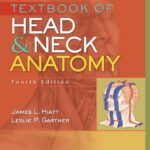 Textbook of Head and Neck Anatomy 4th Edition