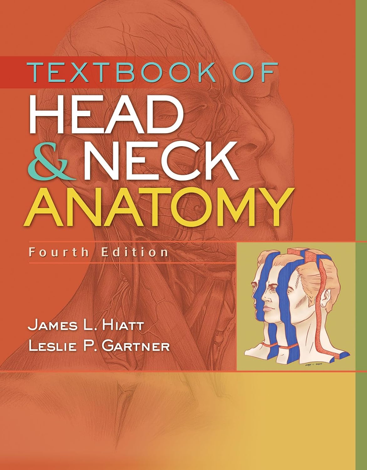 Textbook of Head and Neck Anatomy 4th Edition