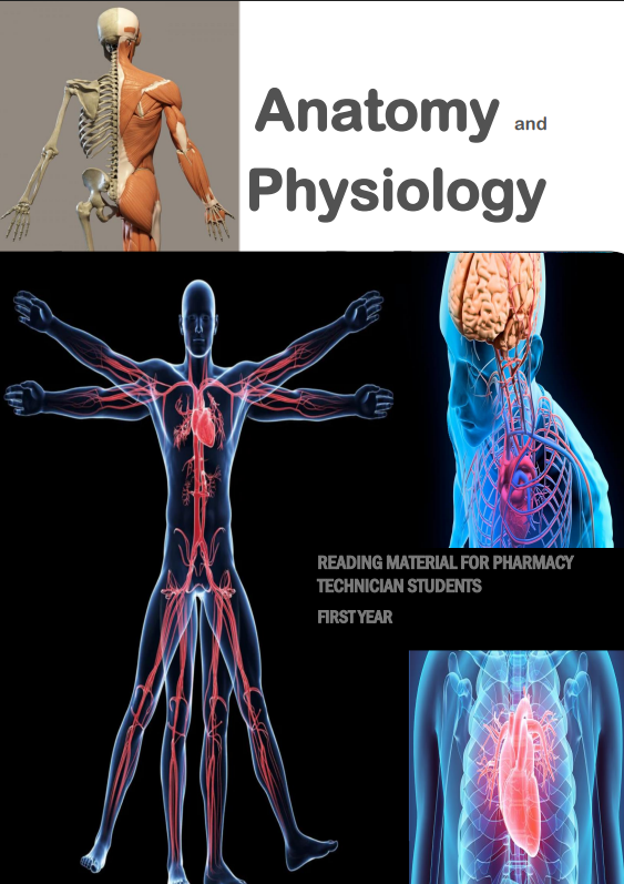 Anatomy and Physiology