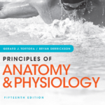 Principles of Anatomy & Physiology 15th Edition