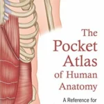 The Pocket Atlas of Human Anatomy